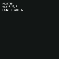 #121715 - Hunter Green Color Image